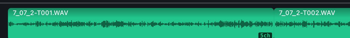 Recorder takes labelled 5ch